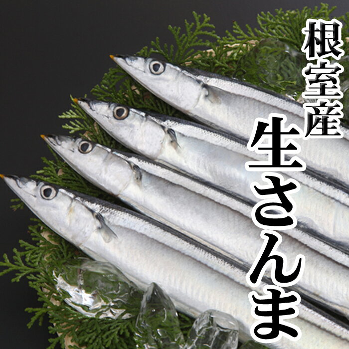 【ふるさと納税】[北海道根室産]さんま 選べる 10尾 ～ 60尾 さかな サカナ 魚 サンマ 秋刀魚 北海道 根室市