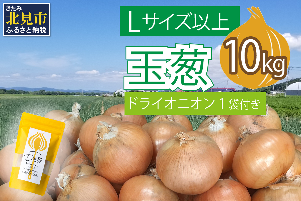 【予約：2024年10月中旬から順次発送】玉葱 10kg Lサイズ以上 北見ドライオニオン1袋付き ( 玉ねぎ たまねぎ ドライオニオン セット ふるさと納税 北海道 )【148-0006-2024】