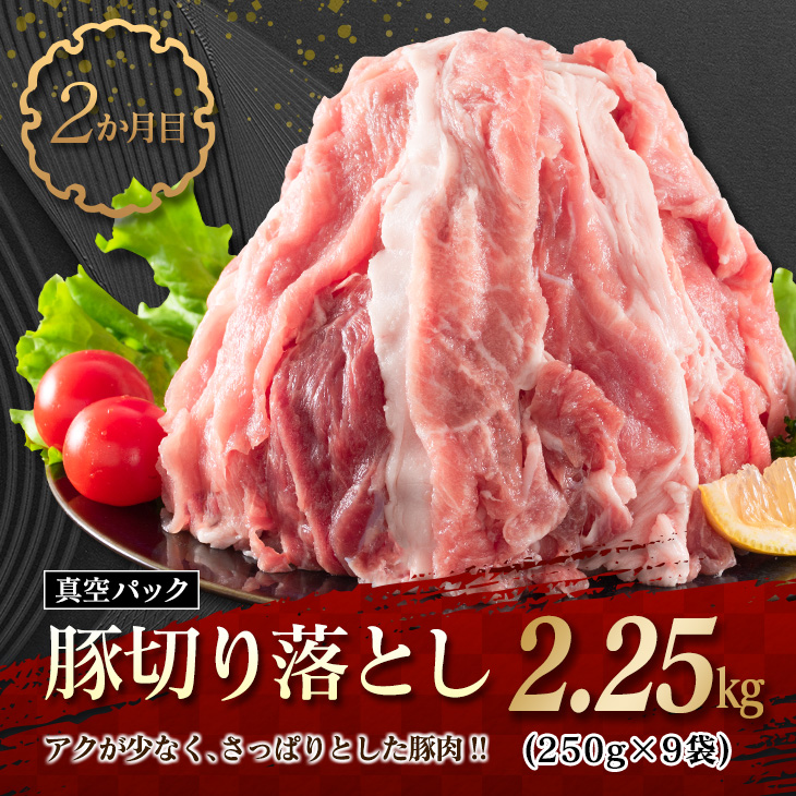 F57-21_数量限定 3か月 お楽しみ 定期便 牛 豚 鶏 バラエティ セット 総重量5kg 肉 牛肉 宮崎牛 豚肉 鶏肉 国産 食品 おかず 切り落とし BBQ 送料無料_イメージ3