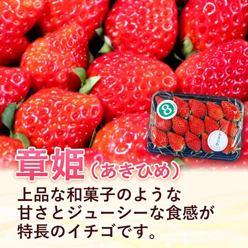 【先行予約】 章姫 2パック 【 約290g×2パック あきひめ イチゴ いちご 苺 ストロベリー 冷蔵 安来市産】【10-FA-08】