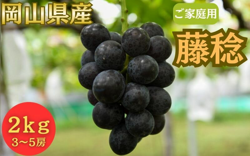 【ふるさと納税】【2026年先行予約】＜ご家庭用＞岡山県産 藤稔 2kg以上 (3~5房) / 岡山 ぶどう 葡萄 果物 フルーツ 産地直送