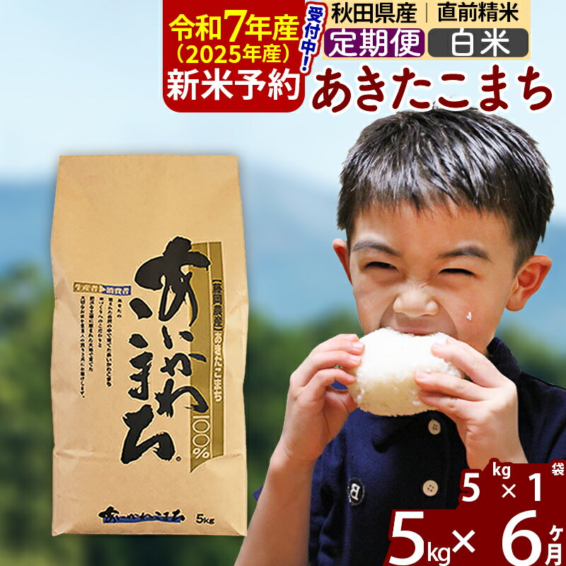 【ふるさと納税】※令和7年産 新米予約※《定期便6ヶ月》秋田県産 あきたこまち 5kg【白米】(5kg小分け袋) 2025年産 お届け周期調整可能 隔月に調整OK お米 藤岡農産