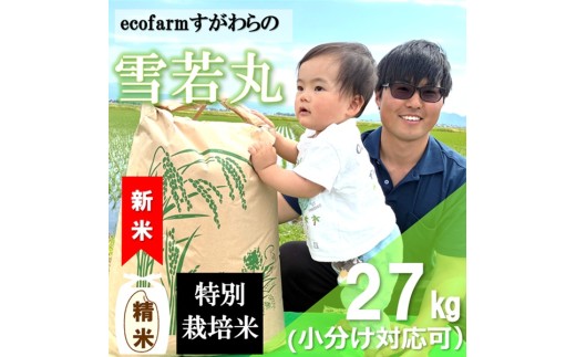 【令和8年産・精米】ecofarmすがわらの特別栽培米雪若丸27kg ※10月上旬頃から順次配送