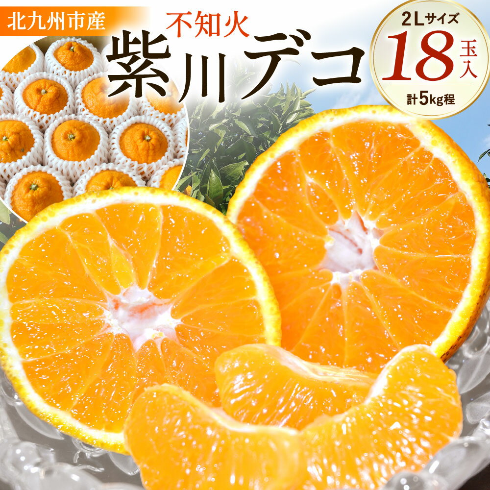 【ふるさと納税】紫川デコ ( 不知火 ) 2Lサイズ 18玉入 計5kg程 フルーツキャップ付き フルーツ みかん 柑橘 しらぬい ミカン 蜜柑 ジューシー 旬 新鮮 季節 福岡県 北九州市 予約 【2026年3月上旬～2026年3月下旬発送予定】