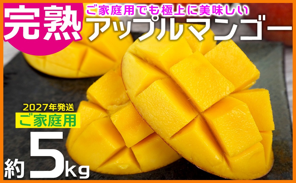 【2027年発送】ご家庭用でも極上に美味しい完熟アップルマンゴー約5kg 農園直送！