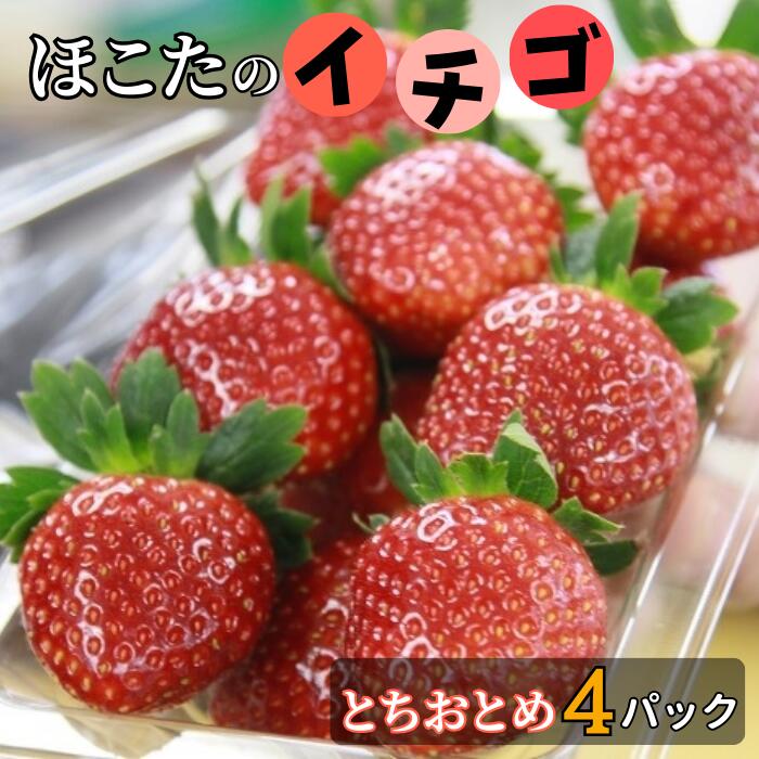 【ふるさと納税】 【1月～3月発送】JAほこた　なだろう　いちご（とちおとめ4パック）