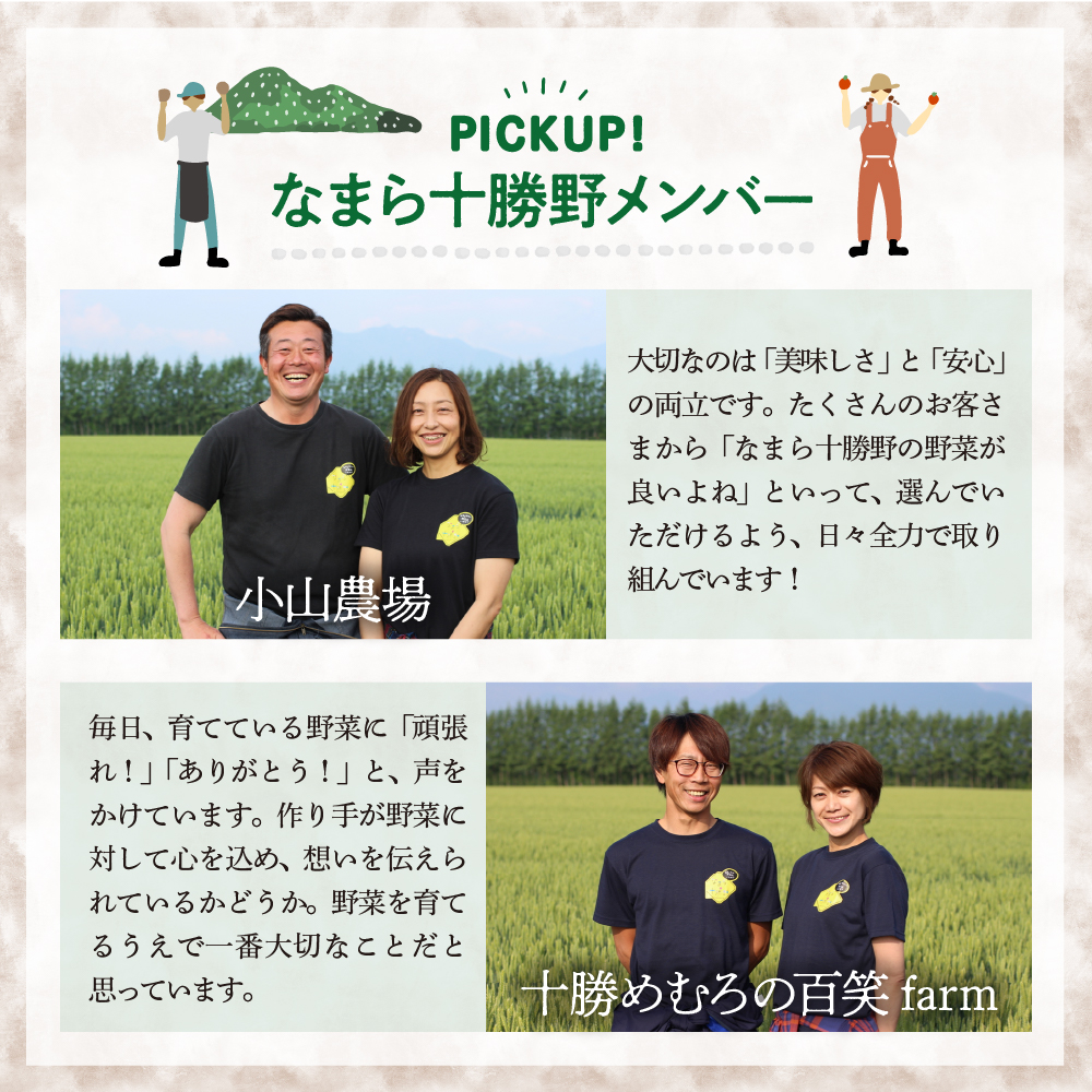 【10月より配送】北海道十勝芽室町 なまら十勝野の季節のおまかせ野菜セット（秋） me001-004c