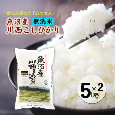 ふるさと納税 十日町市 【無洗米】新潟県魚沼産 川西コシヒカリ 5kg×2袋