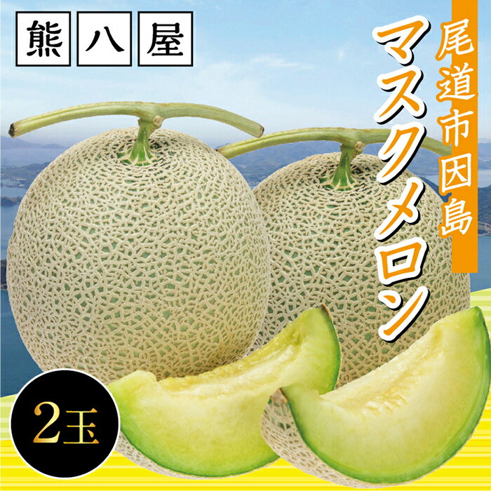 【ふるさと納税】「熊八屋のマスクメロン」2玉入　2025年10月発送 | メロン　フルーツ 果物 ギフト プレゼント 先行受付 送料無料 人気 おすすめ 広島県 尾道市