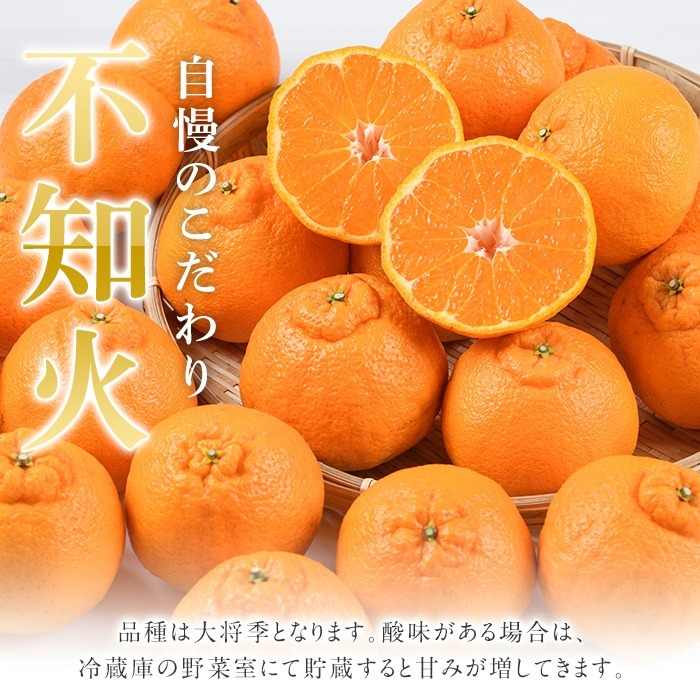＜定期便・全4回(12月・1月・2月・3月)＞鹿児島県産不知火ざんまい(総量約18kg) 国産 果物 フルーツ 柑橘 旬 しらぬい 定期便 頒布会 シラヌイ 数量限定 期間限定 阿久根市産【三笠農業生産】akn051-15