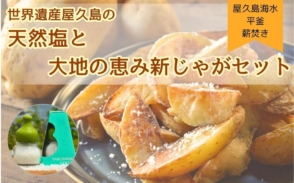
            【2025年3月上旬頃から発送】屋久島の天然塩「海のうた」と屋久島産じゃがいもセット 5kg＜農薬不使用＞
          