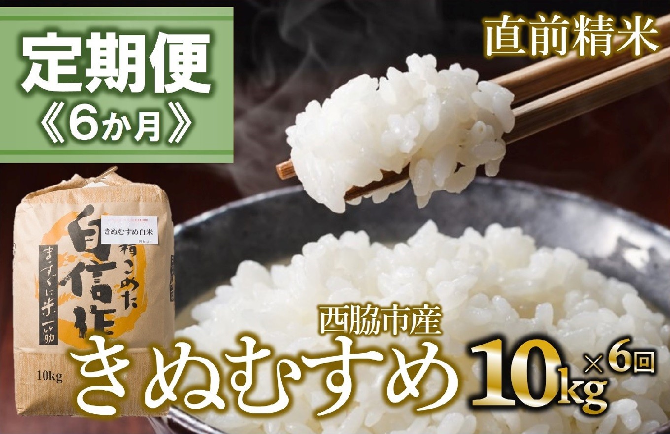 
            【定期便 6か月 きぬむすめ】白米10kg（6か月連続お届け）新米 2025年産  米 お米 米10㎏ お米10㎏ 兵庫県産 きぬむすめ キヌムスメ 西脇市産 定期 連続 6回 6か月 2025年産 精米 便利 らくちん ラク
          