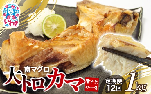 【定期便/計12回】南マグロ大トロカマ1kg（計12kg） | 加熱用 選べる 回数 定期便 冷凍 塩焼き 煮付け まぐろ 鮪 マグロ 焼き魚 高級種 希少部位 | DG016-1kg-t12