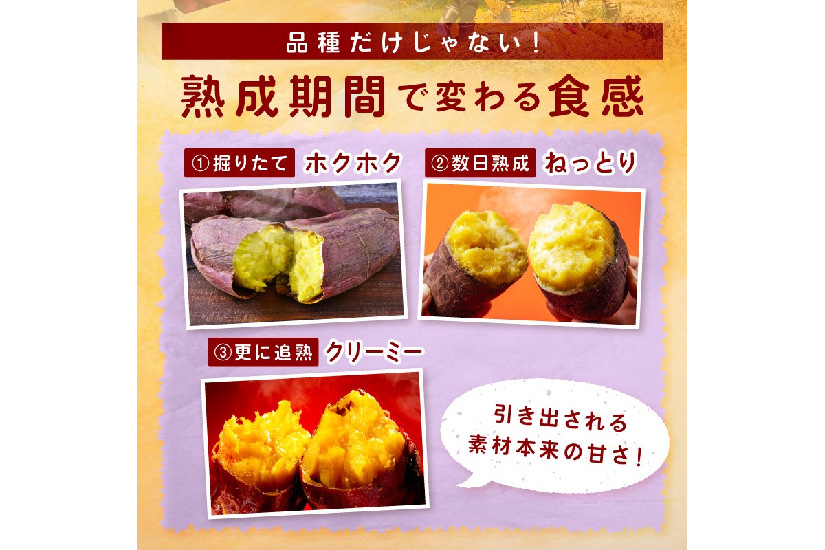 ＜てんとうむしばたけ＞有機さつまいも(紅はるか)5kg　有機野菜 さつま芋 サツマイモ 薩摩芋 ふるさと納税 野菜 イモ 期間限定 紅はるか 甘い 貯蔵 熟成 オーガニック ねっとり あまい焼き芋 国産 ほくほく 土付き 旬 秋 京都産　BR00074