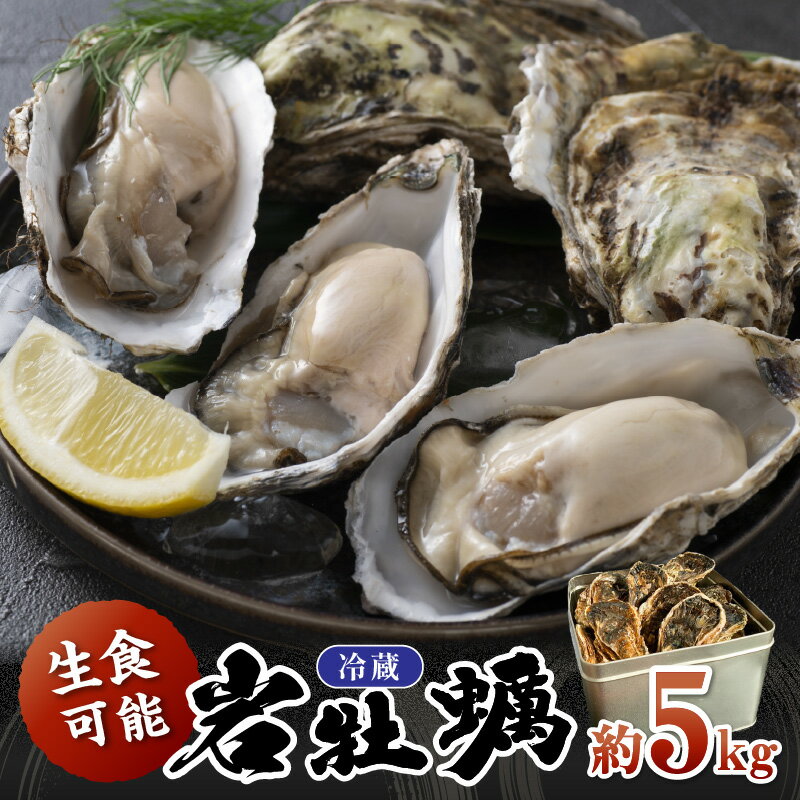 【ふるさと納税】 生食可／夏は岩牡蠣！京都・京丹後産 鮮度抜群！濃厚肉厚岩牡蠣（生食用）約5kg（約10個）(殻付き・かんかん入り・冷蔵・ナイフ付き) 魚介 国産 肉厚 生食用 養殖牡蠣 殻付き 海のミルク ふるさと納税 牡蠣 生食 冷蔵 大粒 カキ かき 牡蛎