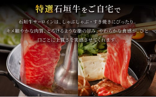 【2026年2月以降順次発送】希少な特選石垣牛をご家庭で！！キメ細やかな肉質でとろける脂の甘みが贅沢なサーロインしゃぶしゃぶ、すき焼き用スライス  合計600g | 沖縄 石垣 特選 牛 サーロイン 