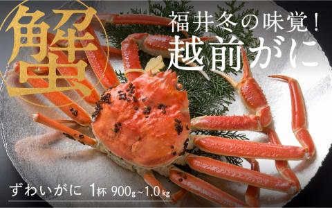 【先行予約！9月30日までの特別価格！！】【産地直送】福井冬の味覚！越前がに 1杯（900g～1.0kg）