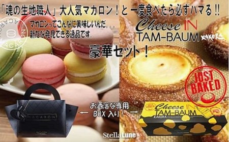 魂の生地職人マカロン＆チーズバーム [3375]