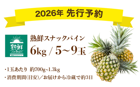 2026年 先行予約【手でちぎって食べる楽しさ】沖縄　西表島　熟鮮スナックパイン6kg（5～9玉）