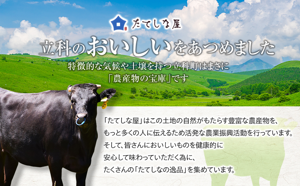 蓼科牛サーロインステーキ200g×2