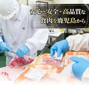 黒豚MEGUMIウインナープレーン(6P) 黒豚 豚肉 ウインナー【ナンチク】A771