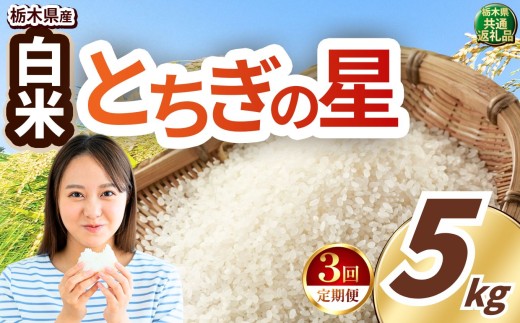 【定期便3回】いちご農家さん応援米！  令和7年度産 白米 約5kg とちぎの星 |  真岡市産 米  お米 こめ 白米 ご飯 ごはん 大粒 とちぎのほし 限定 ふるさと納税  栃木県 真岡市 送料無料