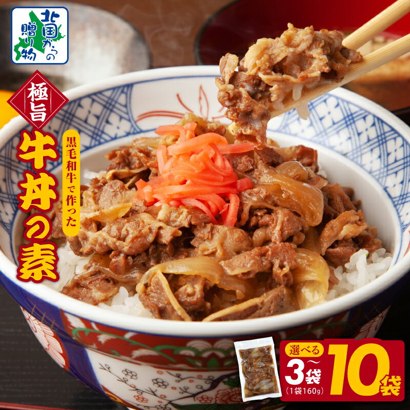 【ふるさと納税】黒毛和牛使用 牛丼の素 160g × 3袋 / 5袋 / 10袋 時短 簡単便利 牛丼の具 セット 肉 牛肉 牛丼 牛皿 アレンジ 肉うどん すき焼き風 おかず レンチン 電子レンジ対応 湯煎 夜食 つまみ 冷凍 お取り寄せ 泉佐野市 送料無料 肉の泉佐野
