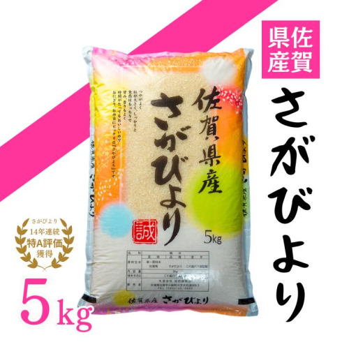 【新米】令和7年 佐賀県産「さがびより」5kg：B120-068