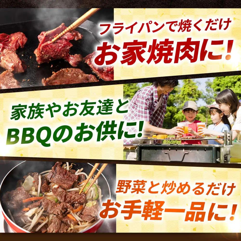 【訳あり】ハラミ 1kg(250g×4）[AVBO008] はらみ 焼肉 