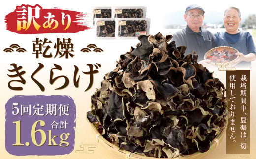 【訳あり】【5ヶ月定期便】 乾燥きくらげ 320g（80g×4パック）×5回 合計1,600g 熊本県 乾燥 きくらげ キクラゲ 木耳 きのこ キノコ 国産 人吉市産