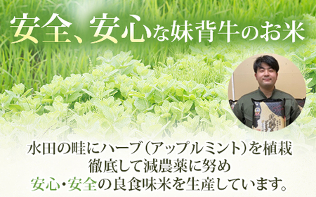 令和６年産 妹背牛産 【プレミアム北彩香（ななつぼし）】白米100ｋｇ（一括）（10月発送）