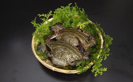 伊勢湾天然ワタリガニほぐし身 味噌付 ２杯【1.2-21】