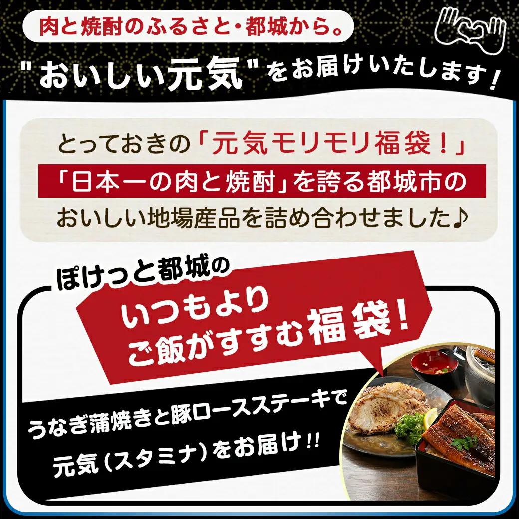 【元気モリモリ福袋】職人手焼きうなぎ蒲焼き2尾＆豚ロースステーキ6枚〔AC-3305〕_(都城市) 豚肉 鰻 国産 うなぎの蒲焼 2尾 タレ付き 麹味噌漬け豚ロース肉 6枚