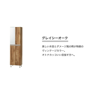 【開梱設置】シューズボックス 【リアル 50 HI】 グレイシーオーク_開梱設置 シューズボックス リアル 50 HI 大川家具 グレイシーオーク 靴箱 靴 収納 可動棚 脱臭性能 お洒落 国内製造 