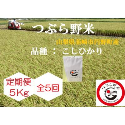 ふるさと納税 韮崎市 【毎月定期便】つぶら野米(品種:コシヒカリ)　白米5kg　5ヶ月合計25kg　全5回