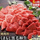 【ふるさと納税】【5ヶ月定期便】牛肉 くまもと黒毛和牛 焼肉用 500g 計2.5kg 長洲501《お申込み月翌月以降の出荷月から出荷開始》定期便 計5回お届け