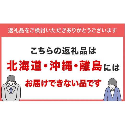 氷見うどん細麺6本入りと洋食屋ハローの氷見カレー4個セット_イメージ2