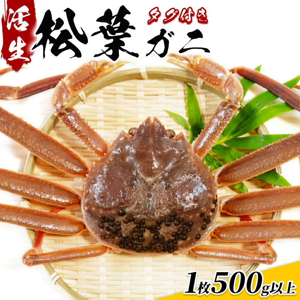 【ふるさと納税】松葉がに（ブランドタグ付き）500g以上（生）鳥取県網代産｜鳥取県 岩美町 蟹 かに カニ 松葉ガニ ズワイガニ 訳あり 訳アリ 新鮮 魚介 冷蔵【22014】