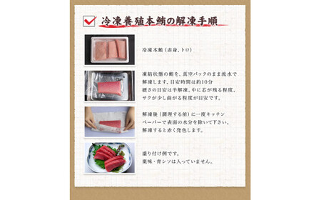 本マグロ トロ＆赤身セット240g（養殖）【8月発送】【配達日指定不可】濃厚な赤身と高級部位トロの鮪好きにはたまらないセット 【串本町×北山村】 高級 クロマグロ【nks113-8】