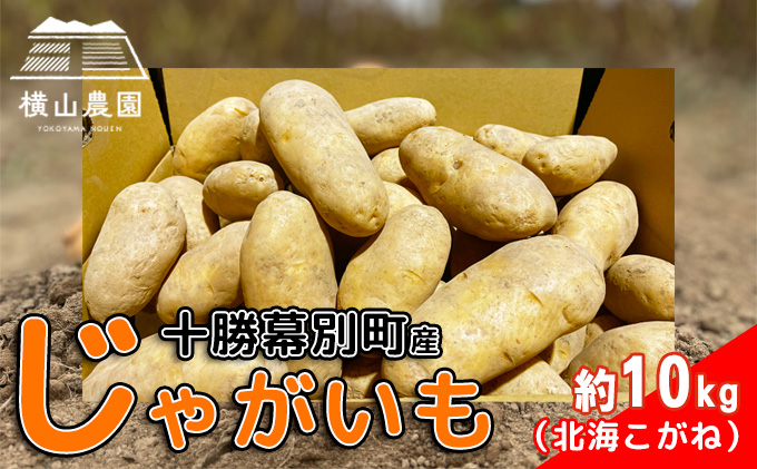 北海道 十勝 幕別産 じゃがいも 北海こがね 約10kg 【横山農園】 野菜 根菜 フライドポテト ポテトチップス 変色しにくい 煮崩れしにくい 黄金色 北海道のジャガイモ 