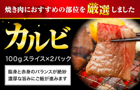 【熊本県産】 あか牛 焼肉 2種 食べ比べ セット モモ カルビ 計400g