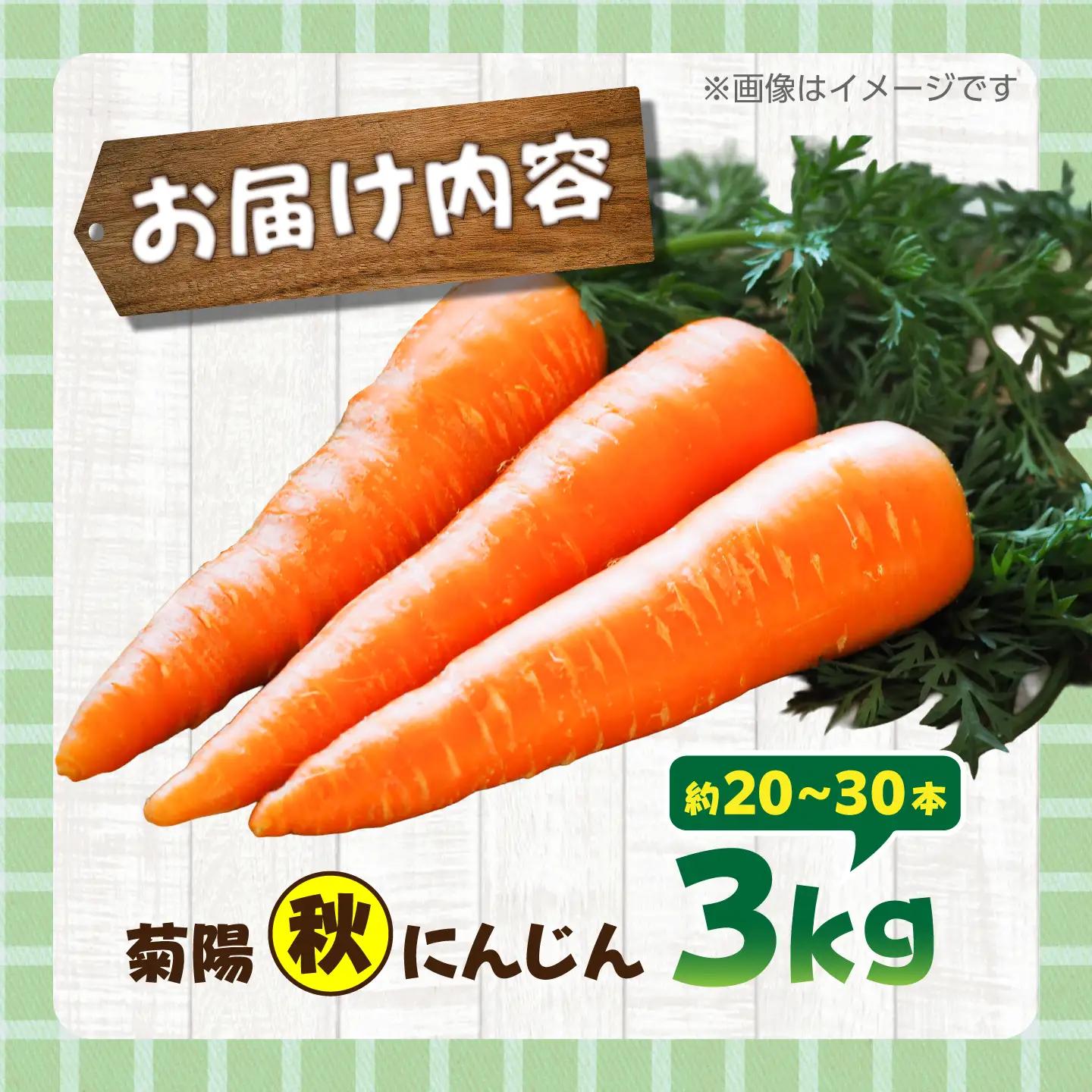 【先行予約】【11月中旬より順次発送】菊陽秋にんじん 秀品 約3kg / にんじん 菊陽にんじん 西洋にんじん ニンジン 人参 野菜 熊本 菊陽 【マツモト：ファーム】[BHDH007]