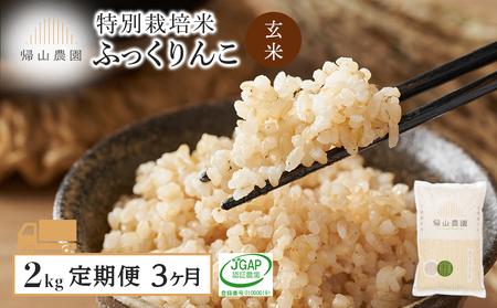 【新米発送】【定期便 3ヶ月】特別栽培米産地直送 玄米 ふっくりんこ 2kg×3回 《帰山農園》米 北海道米 北海道産米 ブランド米 おにぎり ごはん 送料無料