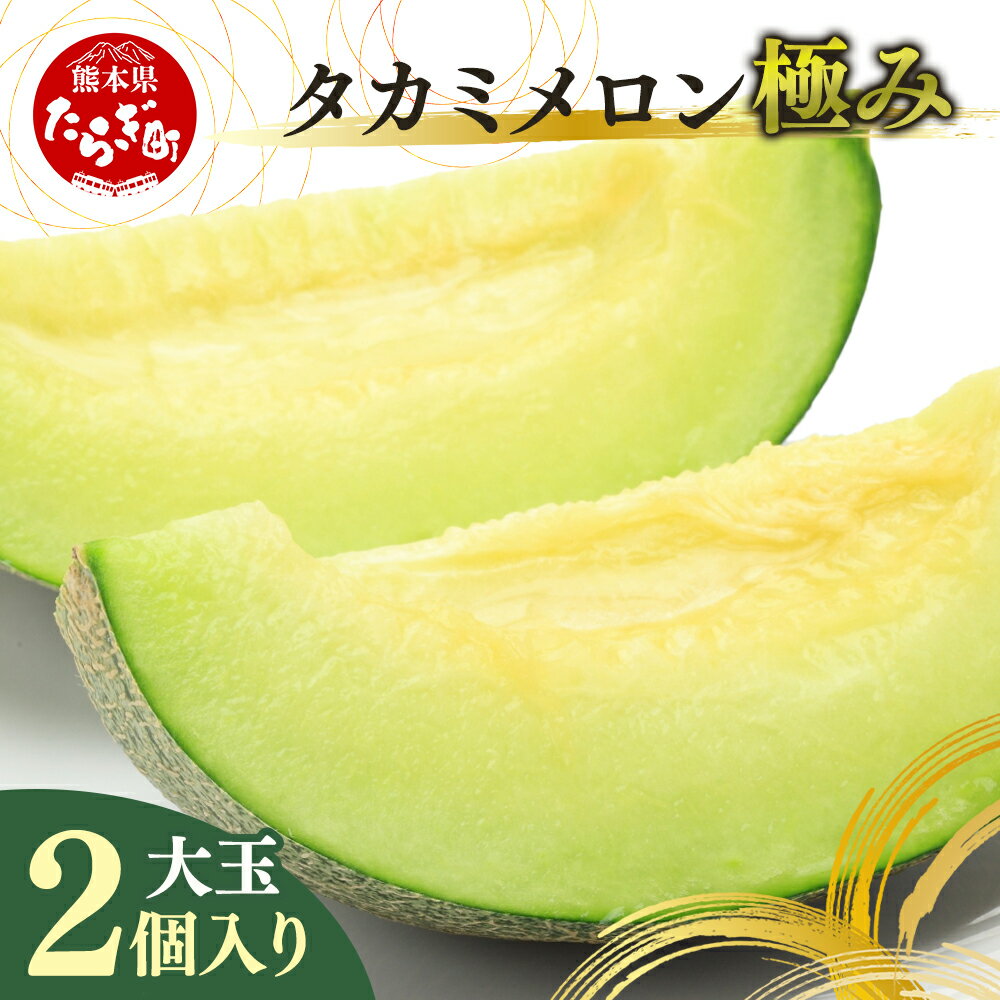 【ふるさと納税】【2025年5月中旬発送開始】タカミメロン（極み） 大玉2個入り 3.4kg～4kg メロン めろん タカミ フルーツ 果物 極上 果肉 甘い 九州産 熊本県 熊本県産 多良木町 国産 送料無料