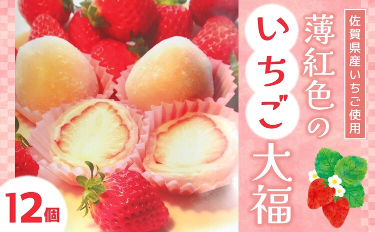 薄紅色のいちご大福【季節限定 いちご 大福 白あん お餅 和菓子 12個 佐賀県産】 A3-J008004