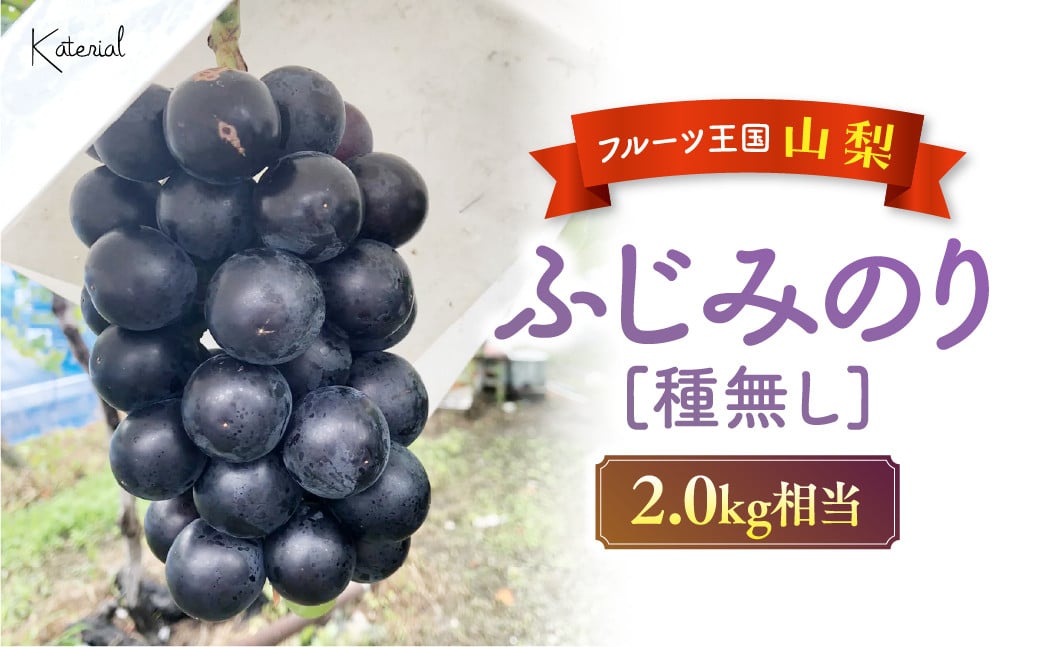 
【2025年発送】ふじみのり(種無し) 2.0kg相当 [山梨 ふじみのり 先行予約] 先行 予約 山梨県産 産地直送 フルーツ 果物 くだもの ぶどう ブドウ 葡萄 新鮮 人気 おすすめ 国産 贈答 ギフト お取り寄せ 山梨 甲斐市 AD-142
