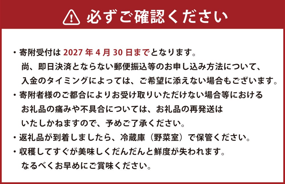 熊本県産食卓を彩る7種類以上の色鮮やかなカラフルミニトマト 4箱入り1ケース 計1.2kg 
