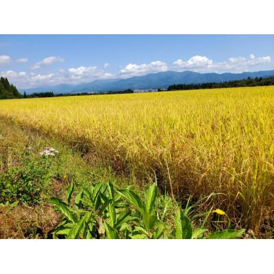 ふるさと納税 新庄市 米の匠みのりガーデン/最高金賞・世界最高米・金賞受賞米【受賞コシヒカリ】5kg×2袋　計10kg |  | 03