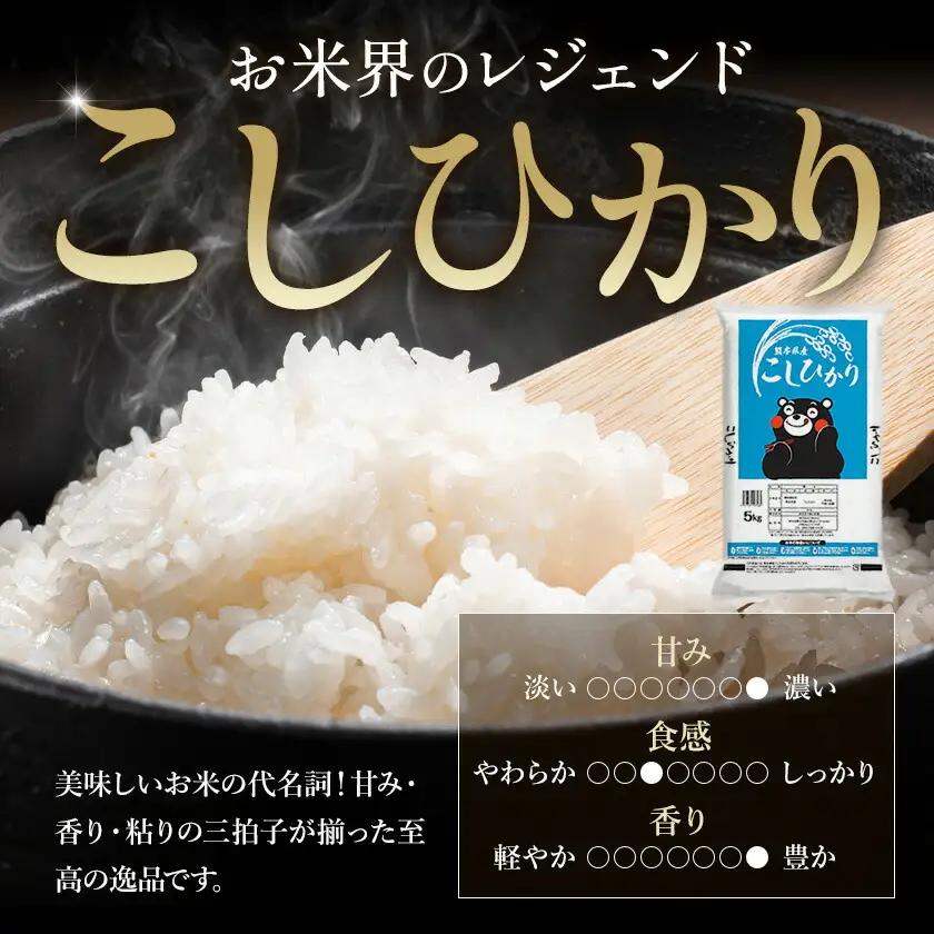 【12ヶ月定期便】令和7年産 定期便 こしひかり 白米 定期便 20kg 精米 熊本県産(南阿蘇村産含む)  南阿蘇村《お申込み翌月から出荷》｜人気米 熊本県産米  生活応援米