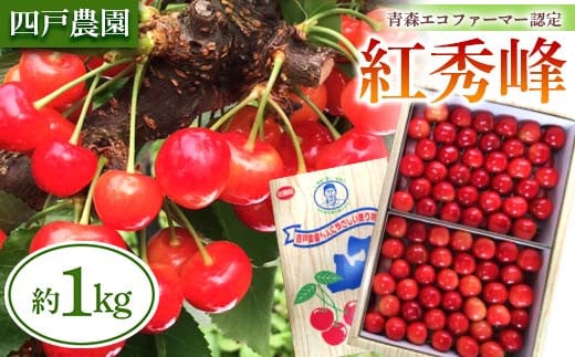 
《農家直送》 さくらんぼ 「紅秀峰」 バラ詰め 約1kg 【四戸農園】 フルーツ王国 フルーツ 旬 果物 さくらんぼ サクランボ チェリー 青森県 南部町 三戸 南部 F21U-312
